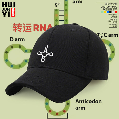 TRNA生物上岸励志学习棒球帽