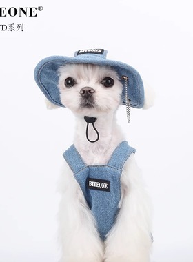 BITEONE【自由单宁】 猫咪狗狗衣服秋冬款美式街头风比熊德文宠物