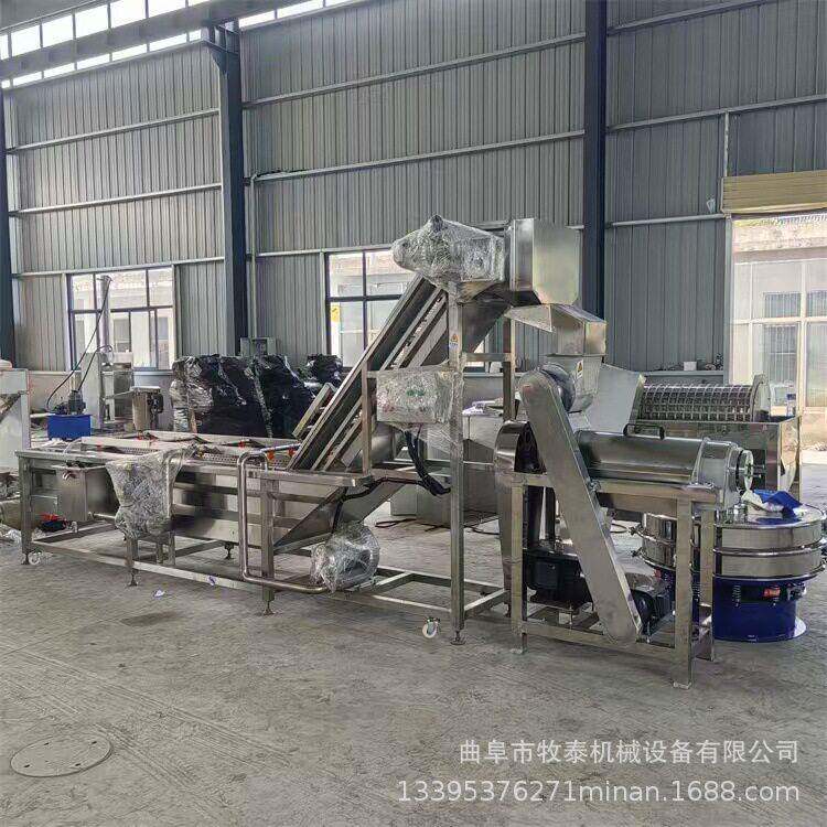 工业螺旋果汁机鲜榨核桃皮大型挤压榨汁机杨梅桑果汁液压榨机