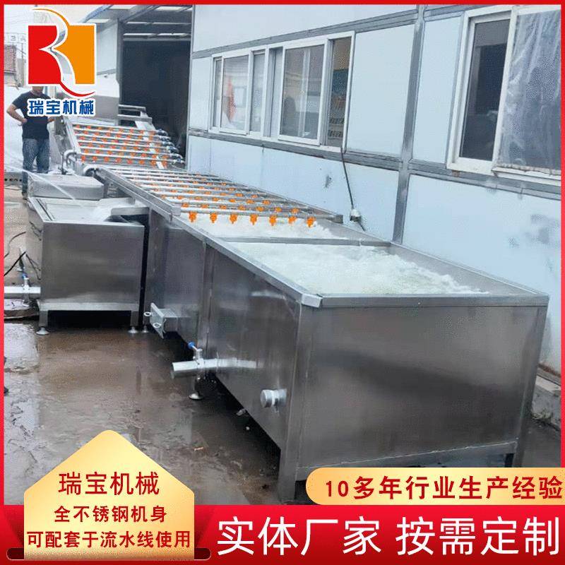 根茎类蔬菜清洗机 诸城多功能苹果清洗机 大型气泡清洗机厂家