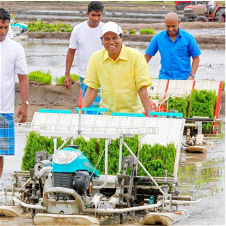 出口印度手扶插秧机厂家 手推水稻种植机 汽油水稻插苗机,农机/农具/农膜,播种栽苗器/地膜机,淘宝优惠券,粉丝福利购,淘宝优惠卷