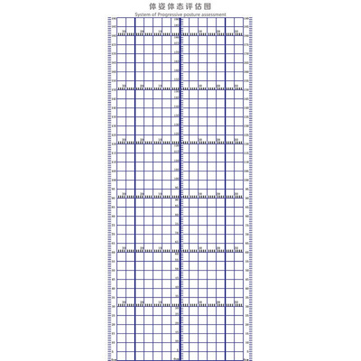 体态评估表墙贴健身房体测网格瑜伽馆私教姿势体位背景墙体姿图蓝
