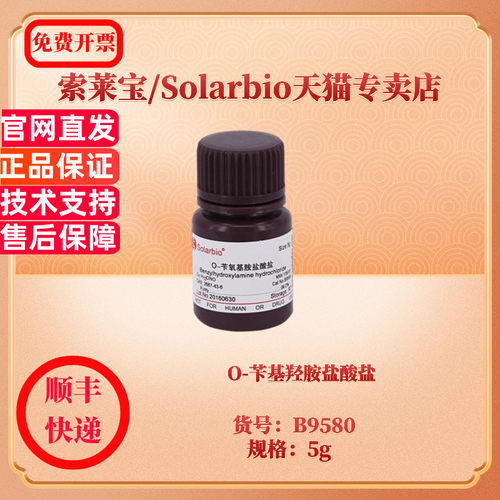 现货 O-苄基羟胺盐酸盐 CAS:2687-43-6 99.0% B9580 5g 生化试剂 索莱宝Solarbio