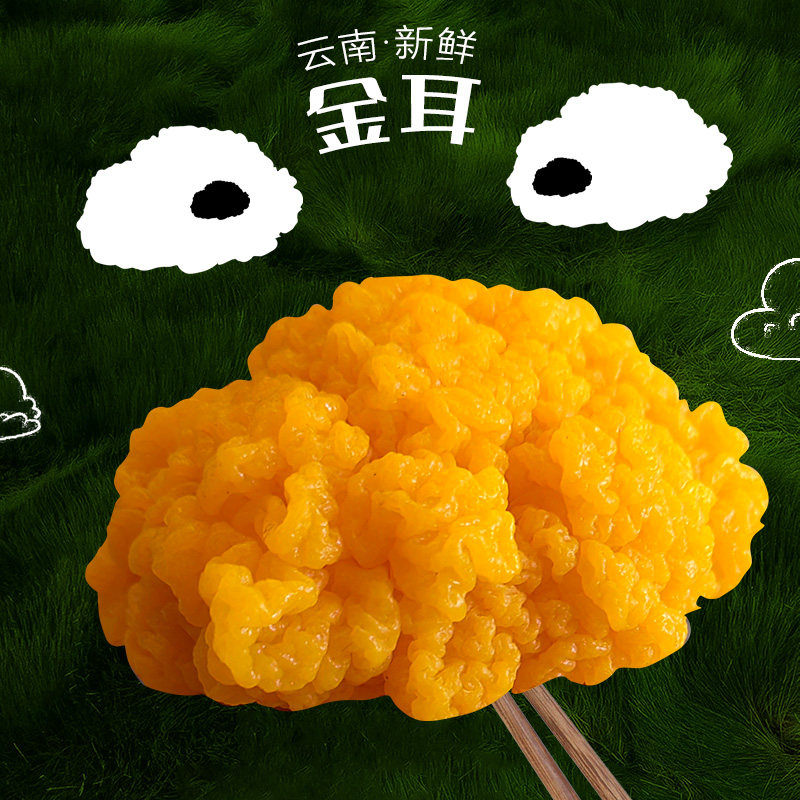 云南新鲜金耳菌黄耳半野生黄金木新鲜松茸/菌菇