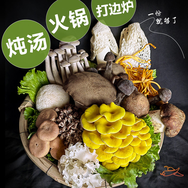云南新鲜菌菇组合1斤煲汤 炖汤 打边炉菌火锅鲜蘑菇姬松茸牛肝菌