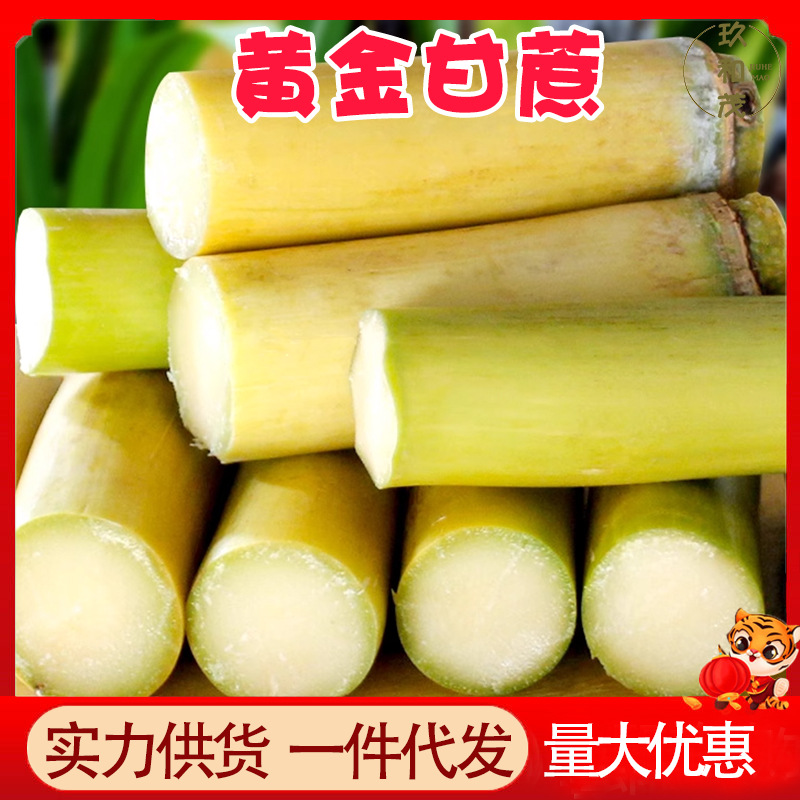 正宗黄金甘蔗9斤整箱新鲜水果应季10批发包邮5云南广西榨汁脆甜杆