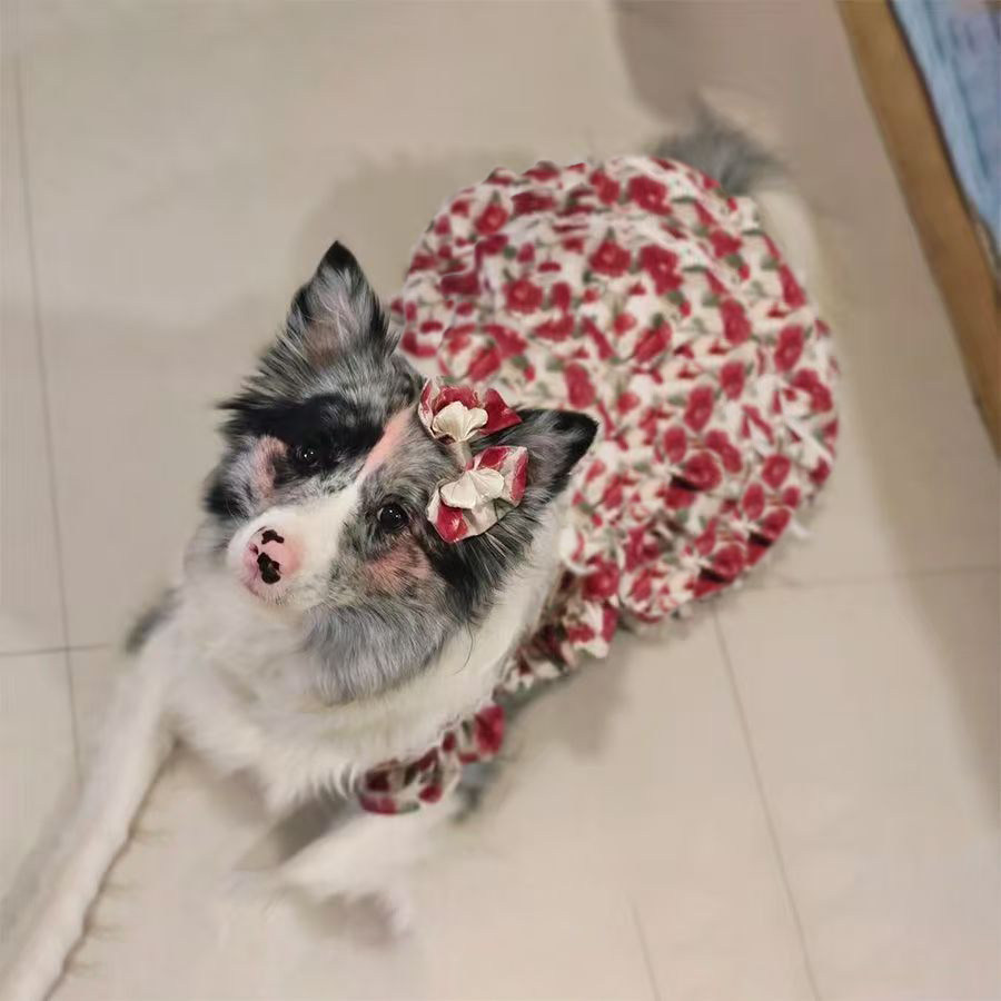 嘻皮安宠物狗狗猫咪衣服可爱公主连衣裙可爱超萌裙子