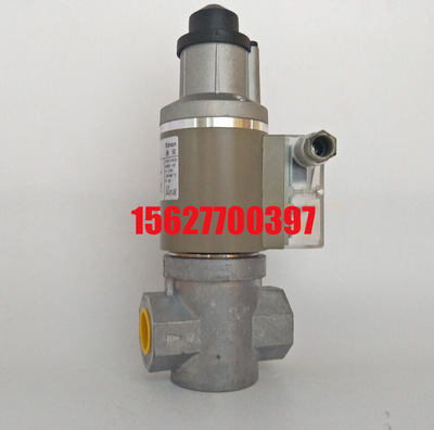 SG25RS/220慢开电磁阀SG15RS/220    SG20RS/220  SG32RD/220