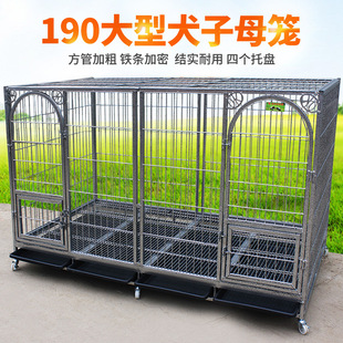 藏獒狗笼子 长190厘米中型大型犬子母笼加粗加厚加固双门隔断犬笼
