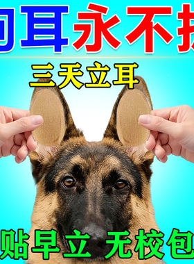 小狗立耳神器狗狗立耳贴西高地雪纳瑞柯基杜宾幼犬立耳固定辅助器