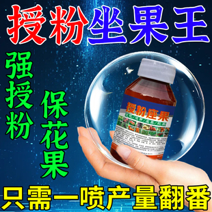 授粉坐果精强效授粉药坐果灵樱桃车厘子西瓜果树挂果防落裂保花果