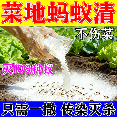 蚂蚁药农用菜地无毒一窝端白蚁防治专用强效毁巢灵特效灭蚁粉剂MD