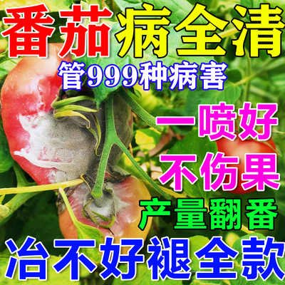 番茄病菌清西红柿病毒病专用
