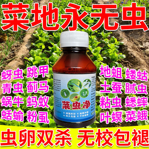 蔬菜杀虫剂蔬菜防蚜虫