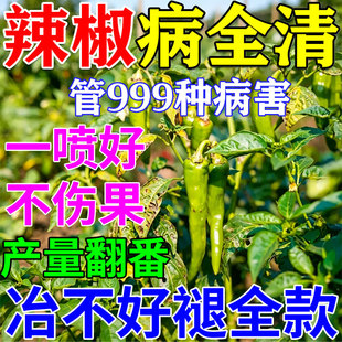 辣椒病毒病专用药辣椒卷叶病肥料缩叶病黄叶烂病全治辣椒疫病清w