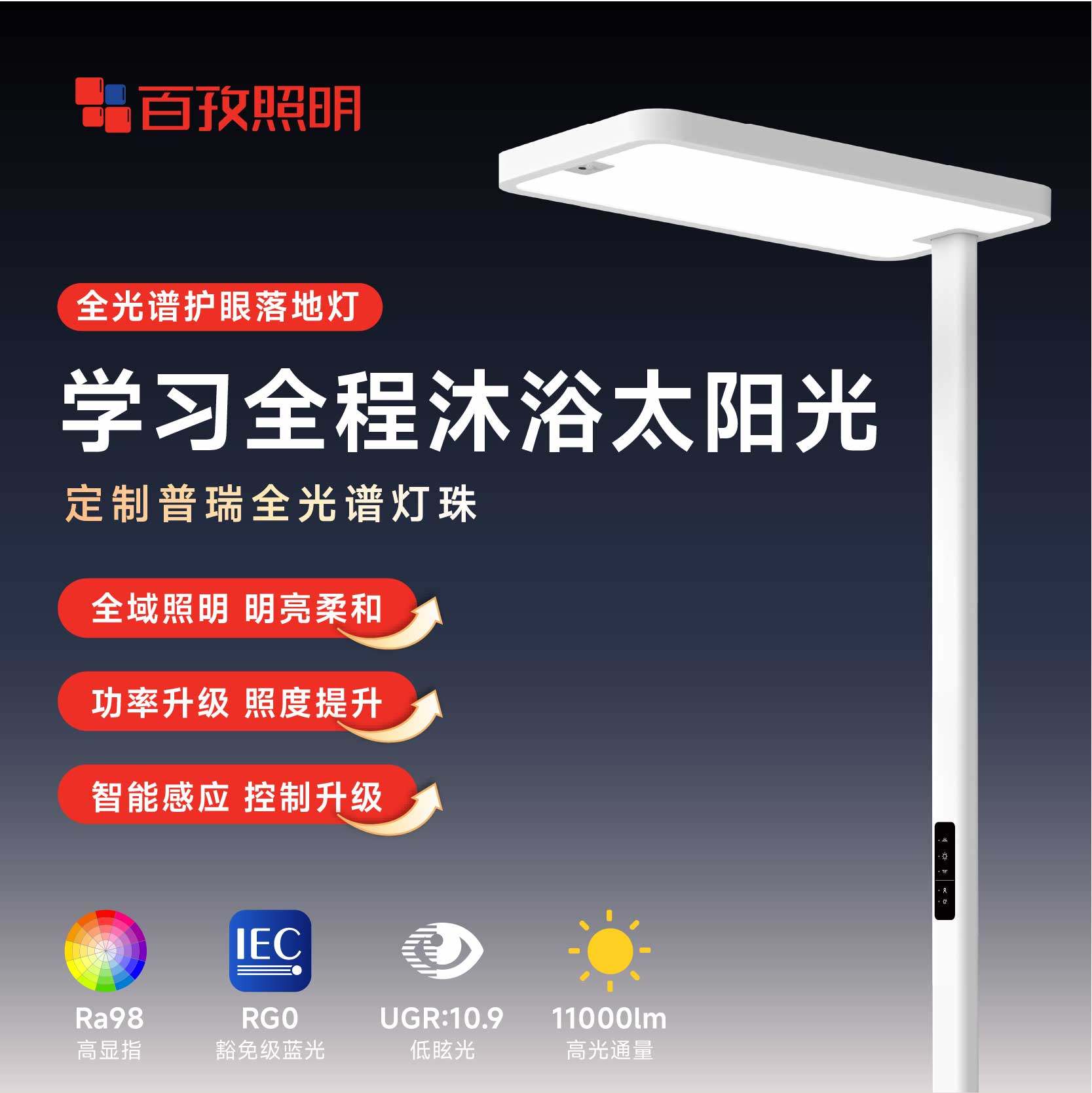 ��Pro�桿������ػ��۵ƴ�·����ʽ̨��ѧϰר�ö�ͯѧ���Ķ��� 2288Ԫ