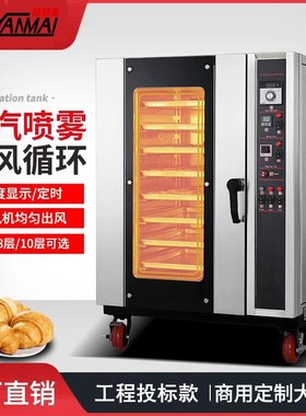 工程款热风喷雾烤箱 天然气/液化气Baking oven定制非标电压插头