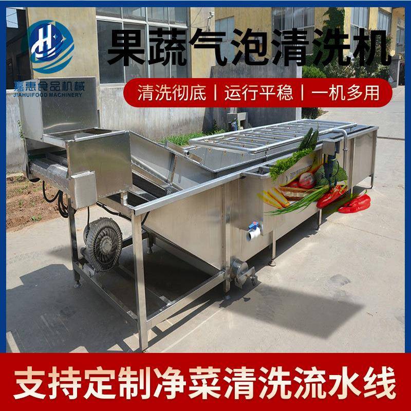 果蔬气泡清洗机厂家供应红枣气泡喷淋清洗设备叶类蔬菜气泡清洗