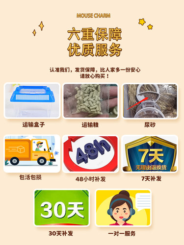 疯狂水草宠物仓鼠活物一线三线金丝熊老公公布丁一公一母包活运输