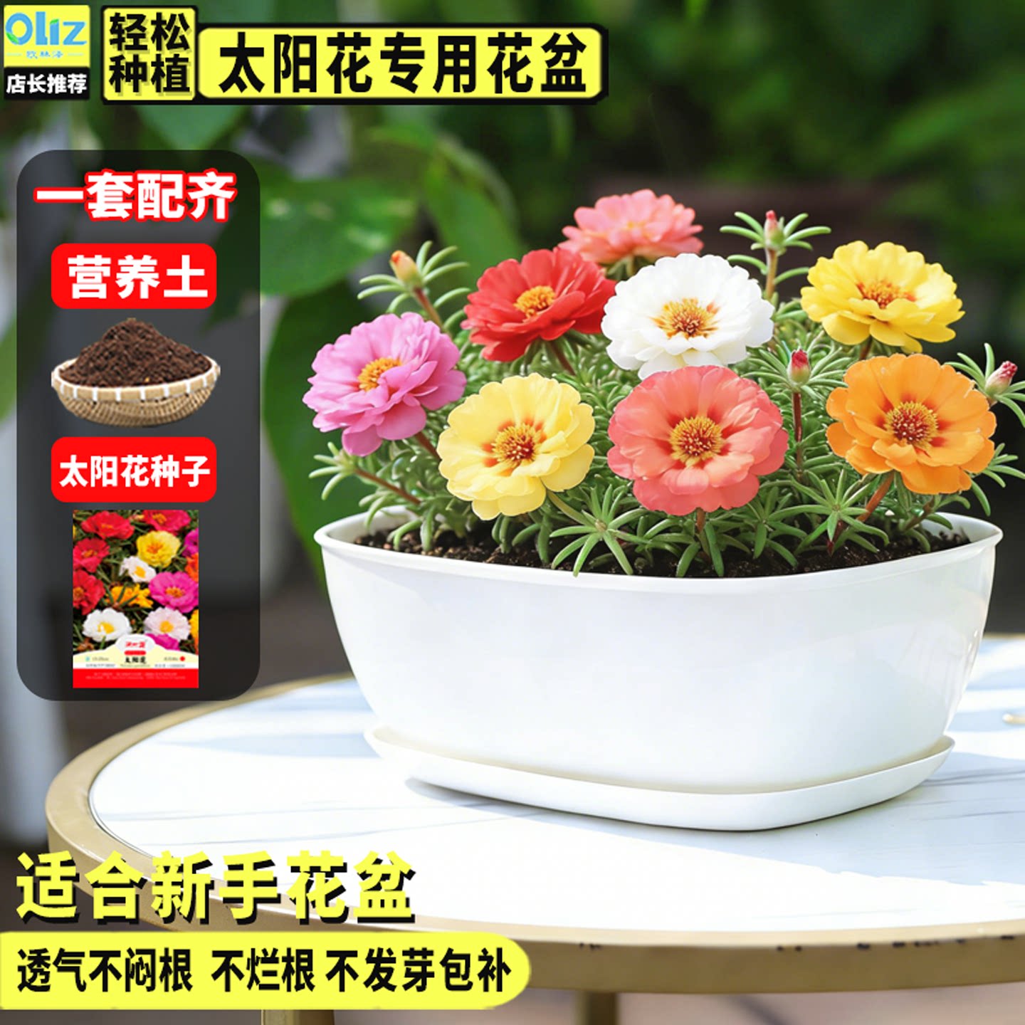 太阳花花盆仿陶瓷长方形长条型盆栽阳台种菜专用盆食品级塑料树脂