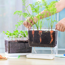 儿童观察盒种植盆小学生发芽小植物办公室桌面迷你小花盆透明加深