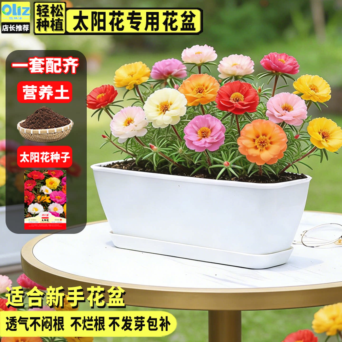 太阳花花盆长方形长条型盆栽阳台种菜专用盆食品级塑料树脂室外