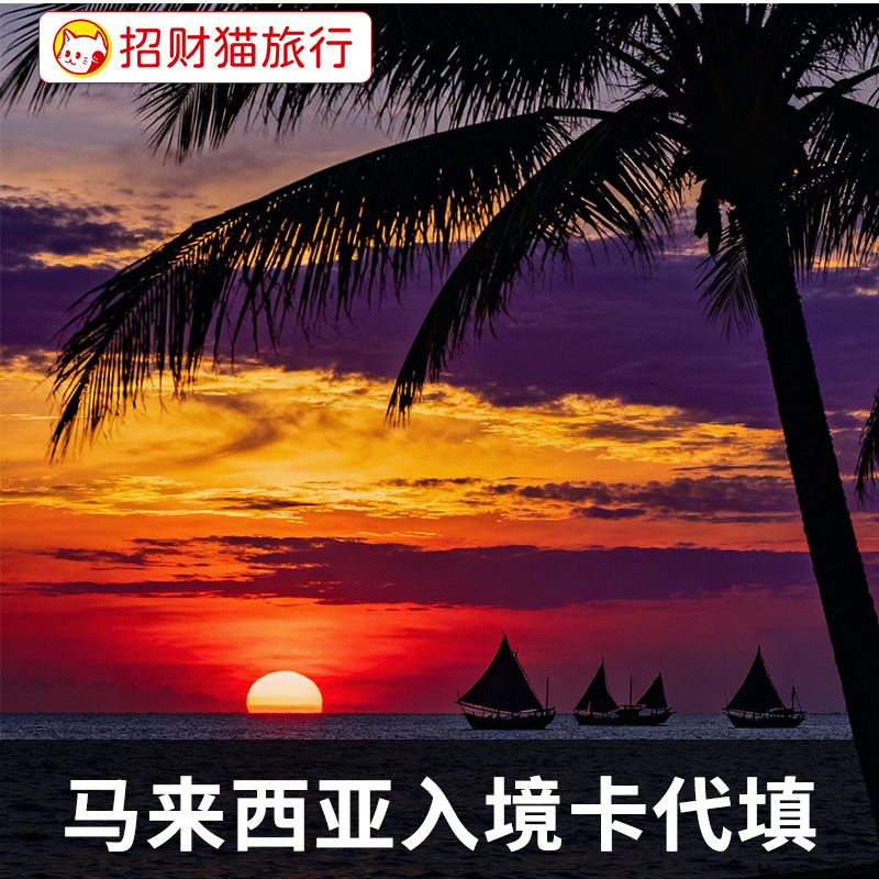 马来西亚入境卡填写 代填 入境申报 电子入境卡