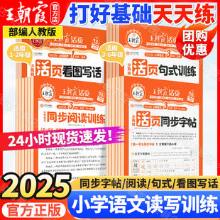 试卷读写专项预复练习作业通用正版 2025王朝霞小学活页同步字帖阅读句式 训练看图写话语文123456一二三四五六年级上下册部编人教版