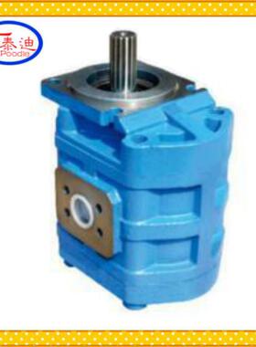 CBGj2080B齿轮泵 徐工工作泵 物料号：803006659