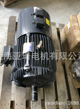 YA100L1-8-0.75KW小功率8极电机 低转速电机 低转速变频电机
