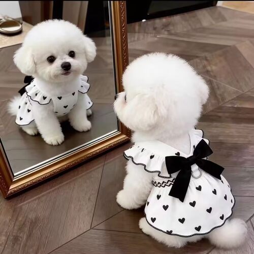 狗狗衣服夏季薄款公主裙泰迪比熊雪纳瑞小型犬猫咪宠物透气防掉毛