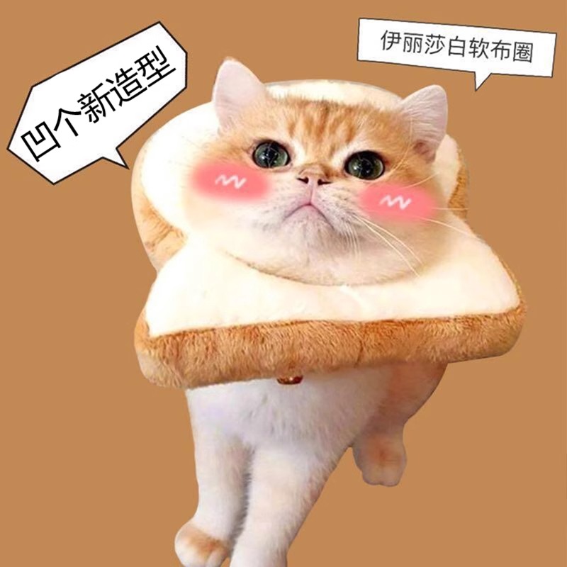 猫咪伊丽莎白圈宠物围脖防水项圈头套伊利沙白圈睡枕防舔绝育用品