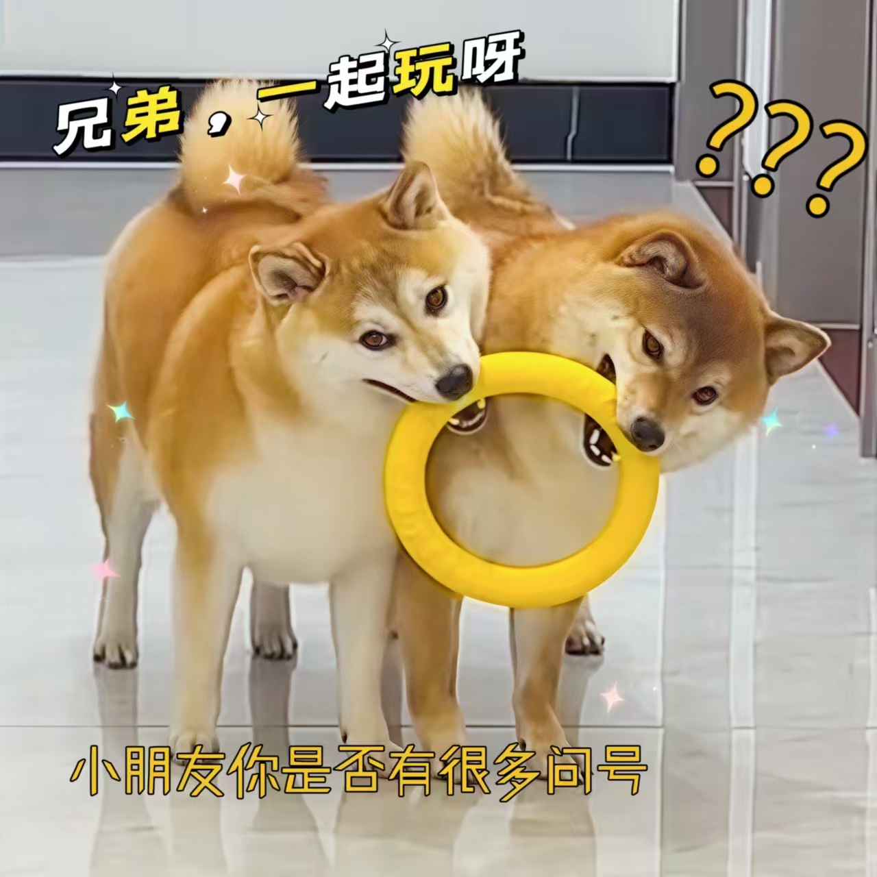 狗狗玩具磨牙耐咬飞盘圆环拉力球柴犬边牧柯基大型犬互动解闷训练