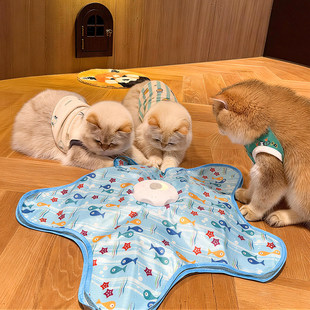 电动猫玩具捕猎罩自动转盘羽毛逗猫棒宠物游戏罩猫咪互动自嗨解闷