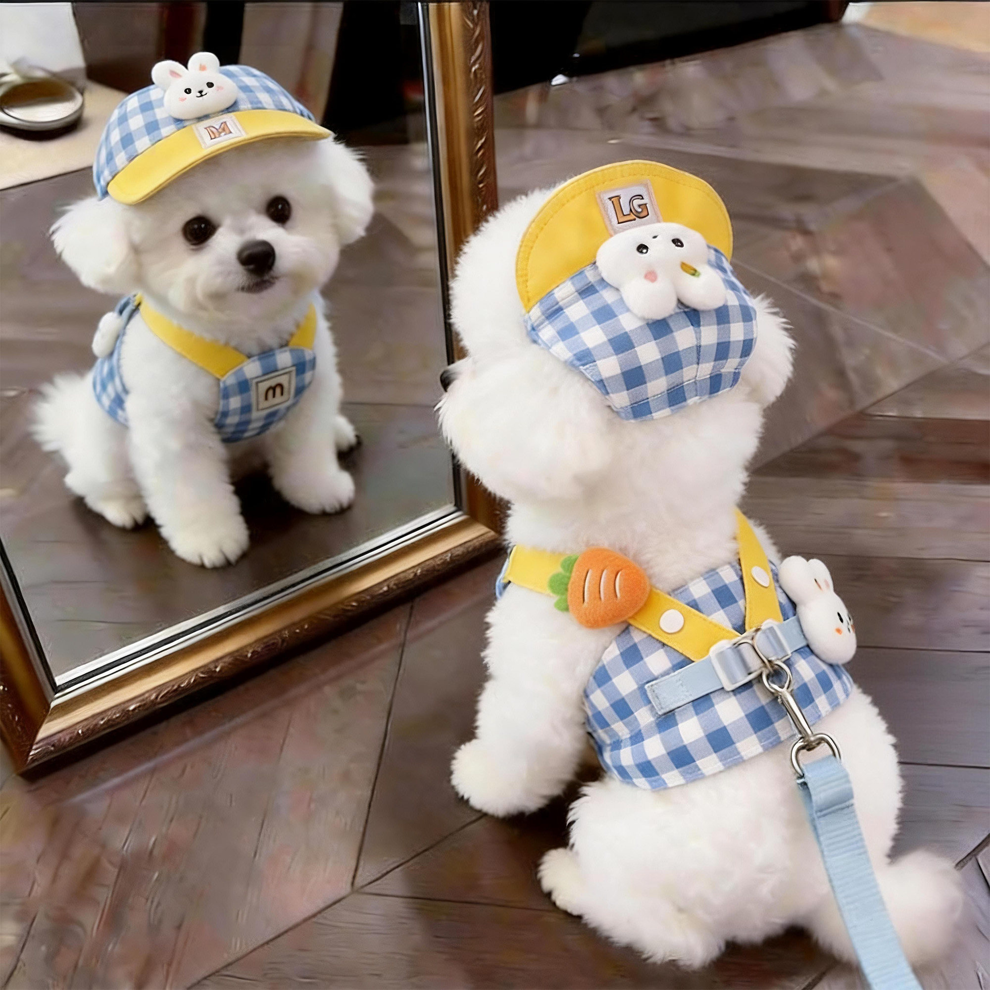 狗狗牵引绳小型犬可爱衣服小兔胸背带泰迪比熊外出专用遛狗防挣脱图片