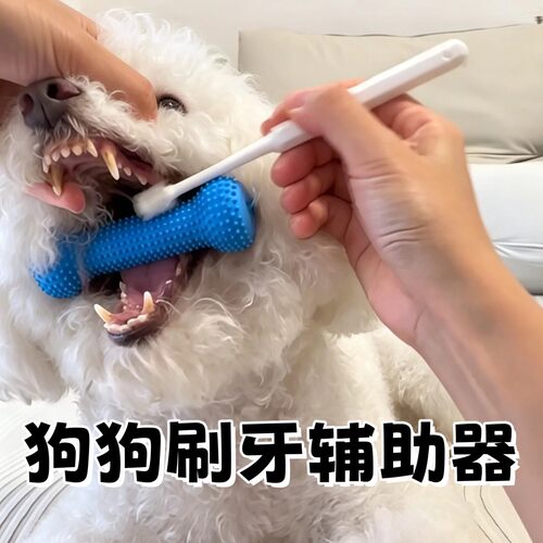 狗狗刷牙辅助神器宠物刷牙防咬固定器除口臭开口器耐咬橡胶磨牙