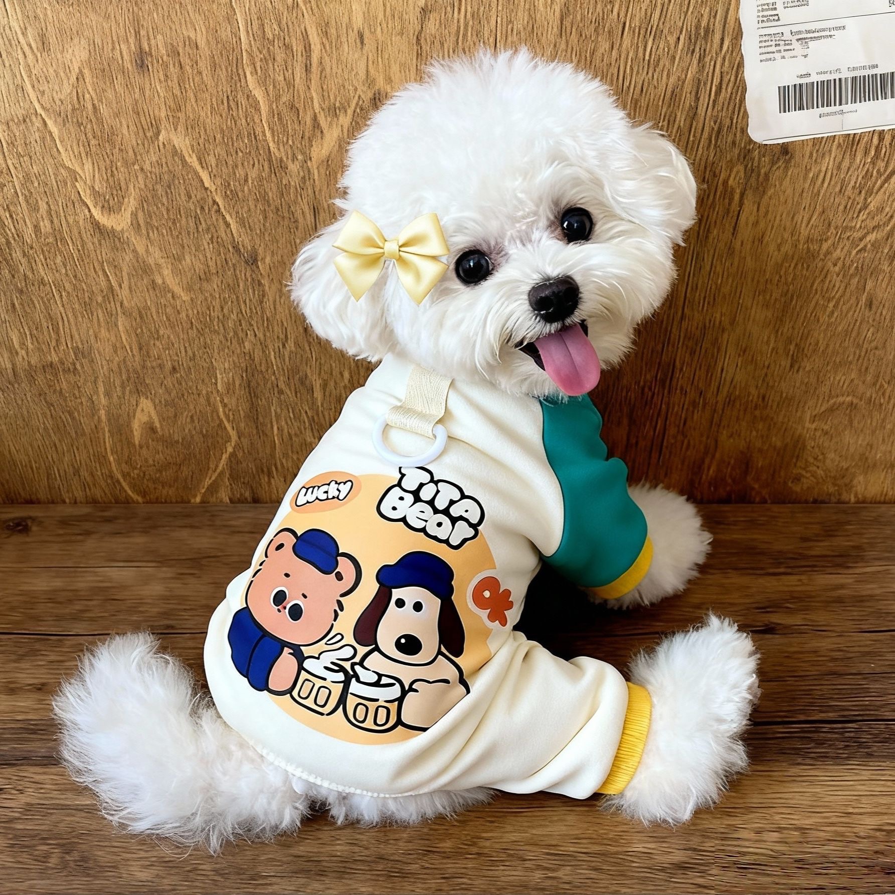 新款狗狗衣服秋冬款猫咪泰迪比熊小型犬四脚衣可爱卡通可牵引宠物