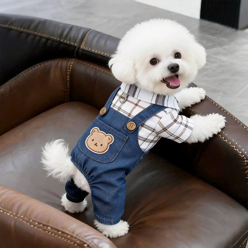 狗狗衣服秋季新款小熊背带裤泰迪比熊小型犬猫咪宠物四脚衣可牵引