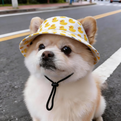 狗狗帽子露耳朵小型犬专用外出遮阳小狗防晒帽泰迪比熊夏季渔夫帽
