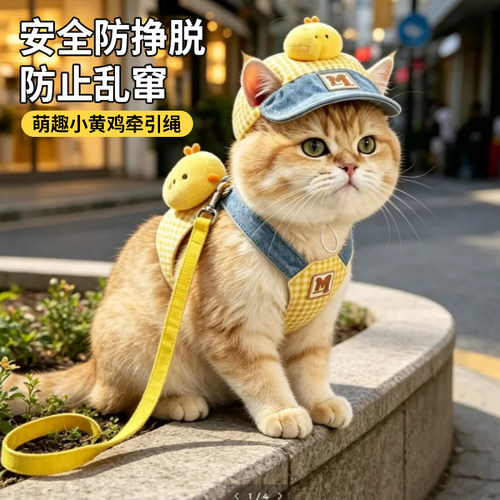 猫咪衣服牵引绳可爱胸背带狗狗小猫外出专用防挣脱遛猫绳宠物用品