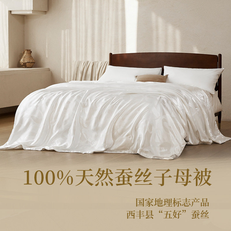100%蚕丝被春秋被四季通