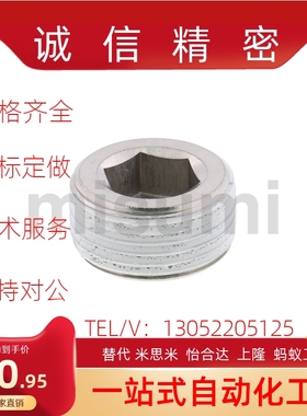 MSWTKJ/MSWTKS/MSWTK1/MSWTK2/MSWTK3/MSWTK4/MSWTK6/MSWTK8 螺塞