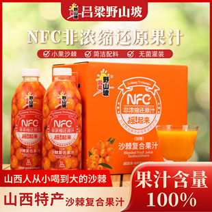 吕梁野山坡沙棘汁NFC非浓缩还原果汁100%山西特产瓶装饮料6瓶装