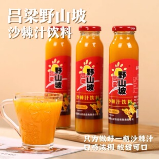 吕梁野山坡沙棘汁饮料山西特产沙棘原浆果汁饮料原浆整箱网红饮料