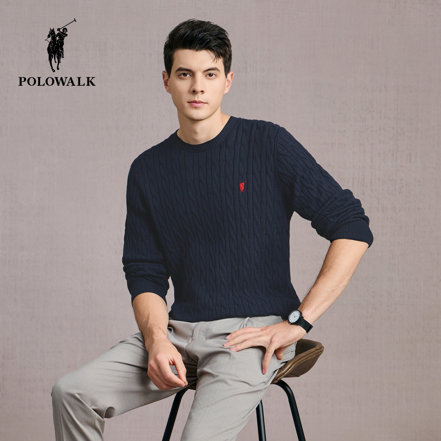 POLOWALK男式针织衫2025秋季新品商务风包芯纱绞花圆领套头上衣男