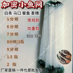 单层渔网白条餐条专用小鱼网5分6分粘网丝网沉网浮网捕鱼挂网大全