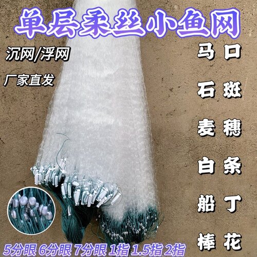 单层渔网粘网白条餐条专用小鱼网丝网沉网浮网捕鱼网5分67分1指高