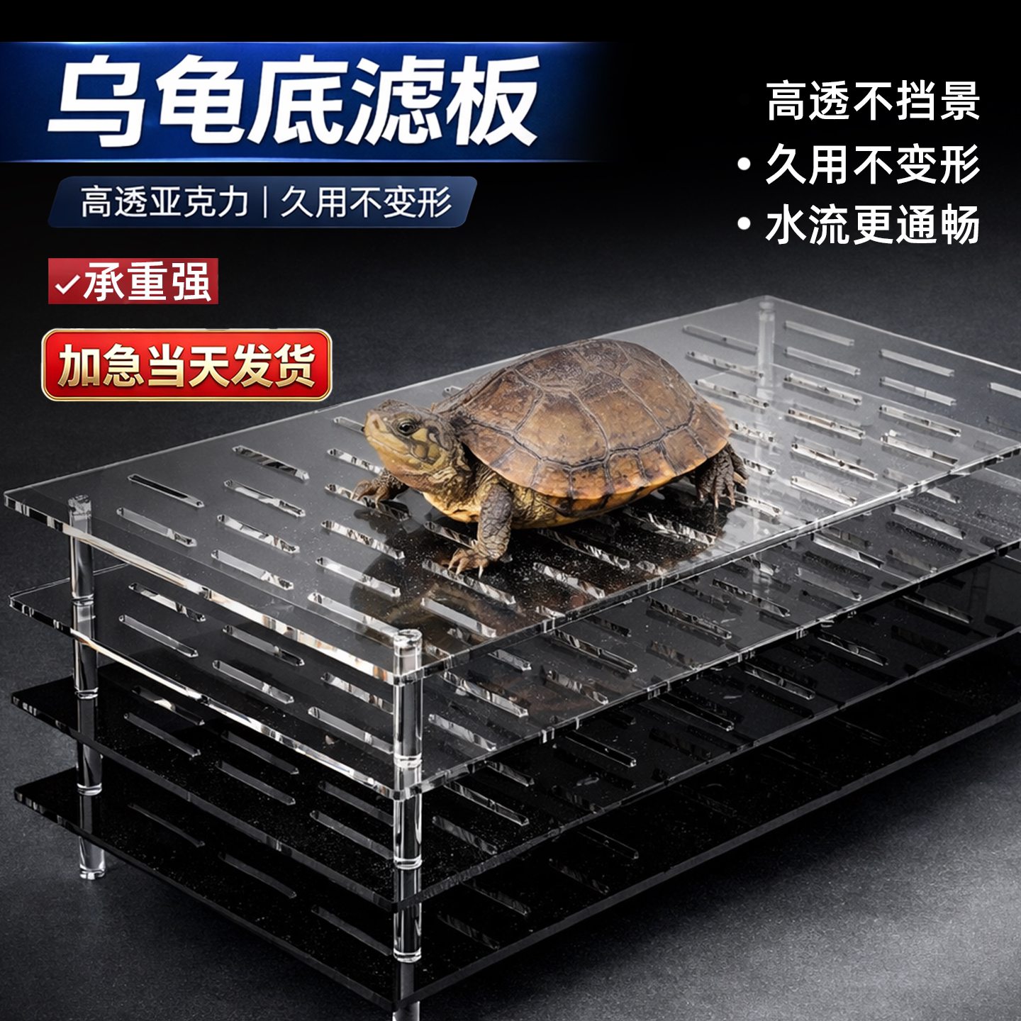 亚克力底滤板乌龟滤板晒台鱼缸乌龟缸隔板底部垫板沉淀过滤网板