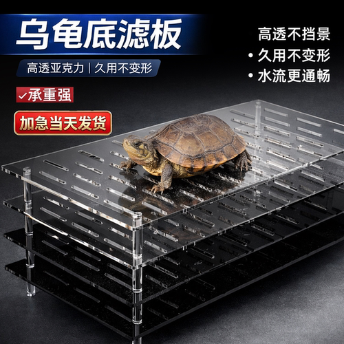 亚克力底滤板乌龟滤板晒台鱼缸乌龟缸隔板底部垫板沉淀过滤网板