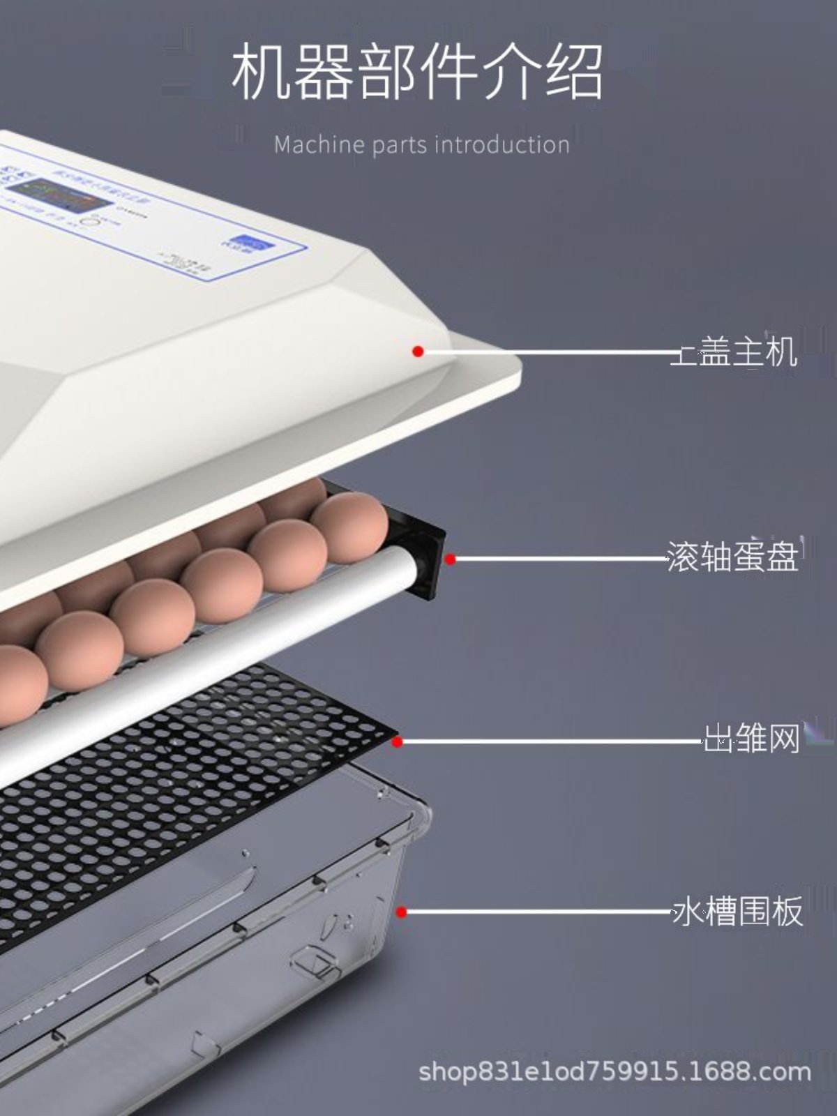 新品156枚小型全自动孵化器家用型孵化机鸡鸭鹅孵蛋机家禽m